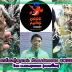 ปกเลี้ยงกุ้งกุลาดำด้วยนวัตกรรม Code Kung copy