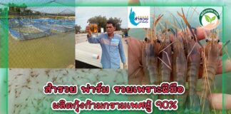 ปกสำรวยฟาร์มรวยเพราะฝีมือผลิตกุ้งก้ามกราม 90% copy