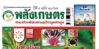 ปก นิตยสาร พลังเกษตร ฉบับ 40