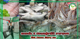 ปกข่าวยกระดับประมงสู่ซาซิมิ