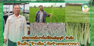 ปกสหกรณ์ธัญบุรี จำกัด copy