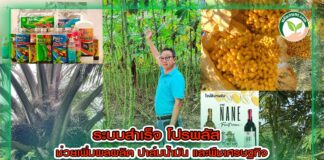 ปกระบบสำเร็จโปรพลัส อ.เล็ก copy