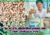 ทุ่ม 50 ล้าน ผลิตโปรตีนจากหนอน BSF บริษัท แพชชั่นสเปซ จำกัด ปกแพชชั่นสเปซ copy