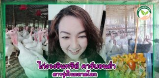 ปกไก่งวงอินทรีย์คาร์บอนต่ำ ดาวรุ่งในตลาดโลก copy