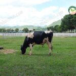 รูปประกอบ (3)