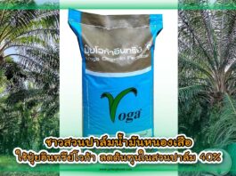 ปกชาวสวนปาล์มหนองเสือใช้ปุ๋ยโวก้าลดต้นทุน copy