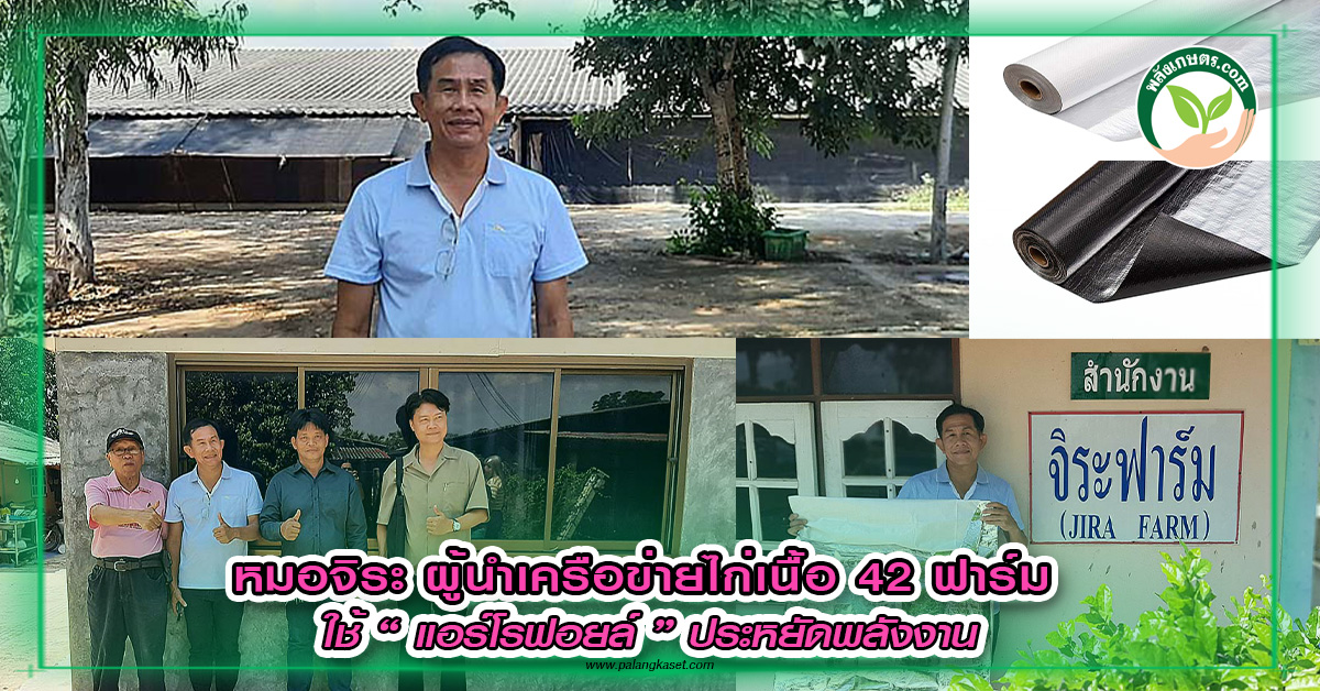 ปกหมอจิระ