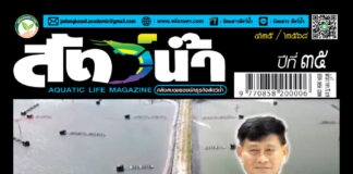 ปก นิตยสาร สัตว์น้ำ ฉบับ 425 (มกราคม 2568)