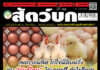 ปก นิตยสาร สัตว์บก ฉบับ 381 (มกราคม 2568)