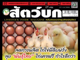 ปก นิตยสาร สัตว์บก ฉบับ 381 (มกราคม 2568)
