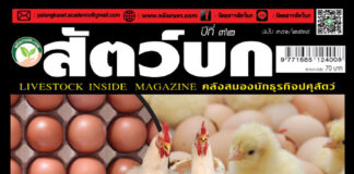 ปก นิตยสาร สัตว์บก ฉบับ 381 (มกราคม 2568)