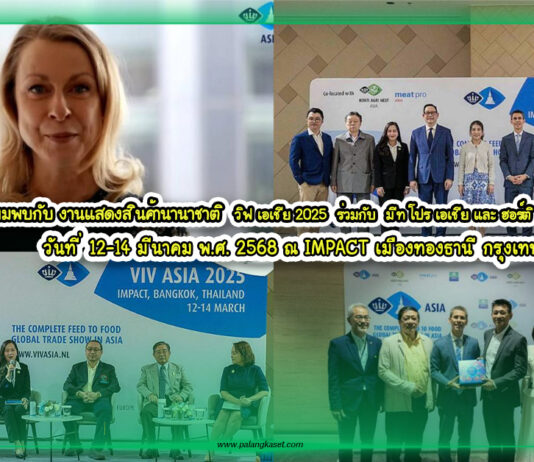 ปกงานVIV2025
