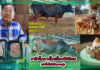 ปกวากิวโคราช