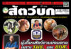 ปก นิตยสาร สัตว์บก ฉบับ 382 (กุมภาพันธ์ 2568)