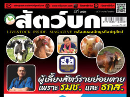 ปก นิตยสาร สัตว์บก ฉบับ 382 (กุมภาพันธ์ 2568)