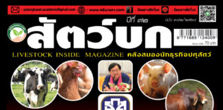 ปก นิตยสาร สัตว์บก ฉบับ 382 (กุมภาพันธ์ 2568)