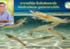 ปกอาจารย์วินิจ5-1