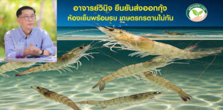 ปกอาจารย์วินิจ5-1
