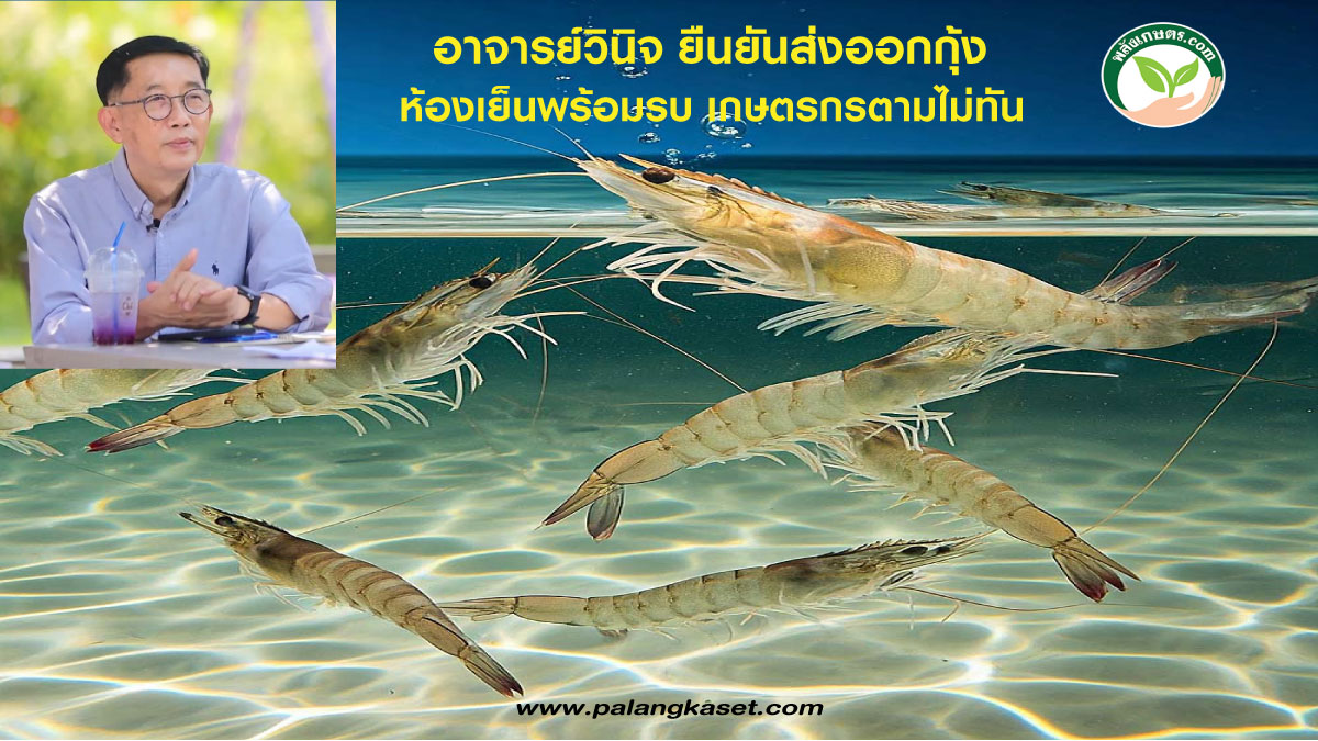 ปกอาจารย์วินิจ5-1