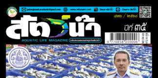 ปก นิตยสาร สัตว์น้ำ ฉบับ 426 (กุมภาพันธ์ 2568)