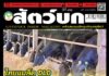ปก นิตยสาร สัตว์บก ฉบับ 383 (มีนาคม 2568)