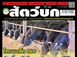 ปก นิตยสาร สัตว์บก ฉบับ 383 (มีนาคม 2568)