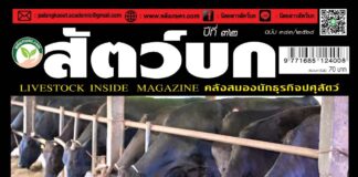 ปก นิตยสาร สัตว์บก ฉบับ 383 (มีนาคม 2568)