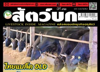 ปก นิตยสาร สัตว์บก ฉบับ 383 (มีนาคม 2568)