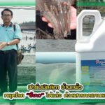 ปกหมอณัชพล copy