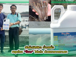 ปกหมอณัชพล copy