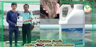 ปกหมอณัชพล copy