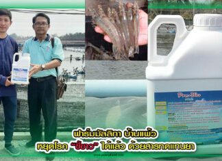 ปกหมอณัชพล copy