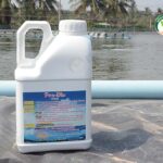 ผลิตภัณฑ์ พรี-ไบโอ ช่วยรักษาโรคขี้ขาวในบ่