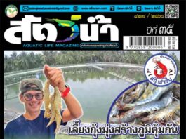ปก นิตยสาร สัตว์น้ำ ฉบับ 427 (มีนาคม 2568)