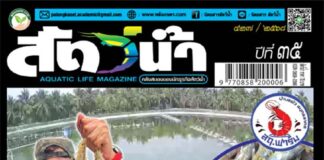 ปก นิตยสาร สัตว์น้ำ ฉบับ 427 (มีนาคม 2568)