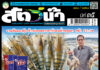 ปก นิตยสาร สัตว์น้ำ ฉบับ 428 (เมษายน 2568)