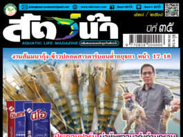 ปก นิตยสาร สัตว์น้ำ ฉบับ 428 (เมษายน 2568)