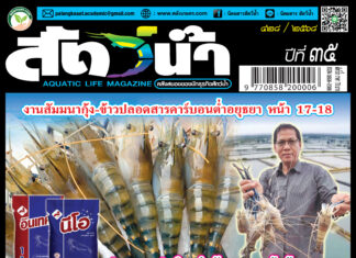 ปก นิตยสาร สัตว์น้ำ ฉบับ 428 (เมษายน 2568)