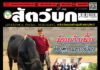 ปก นิตยสาร สัตว์บก ฉบับ 384 (เมษายน 2568)
