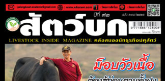 ปก นิตยสาร สัตว์บก ฉบับ 384 (เมษายน 2568)