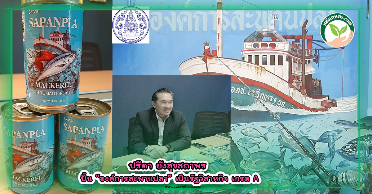 ปกข่าว ปรีดา ยังสุขสถาพร