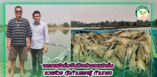 ปกเว็ปฉลวยฟาร์ม จับมือสำรวยฟาร์ม