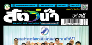 ปก นิตยสาร สัตว์น้ำ ฉบับ 429 (พฤษภาคม 2568)