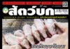 ปก นิตยสาร สัตว์บก ฉบับ 385 (พฤษภาคม 2568)