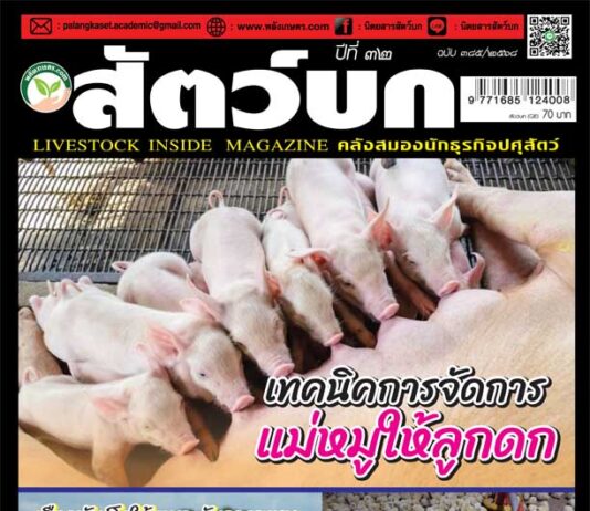 ปก นิตยสาร สัตว์บก ฉบับ 385 (พฤษภาคม 2568)