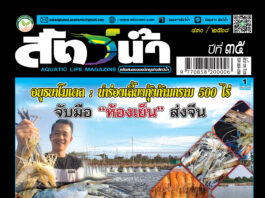 ปก นิตยสาร สัตว์น้ำ ฉบับ 430 (มิถุนายน 2568)