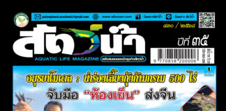 ปก นิตยสาร สัตว์น้ำ ฉบับ 430 (มิถุนายน 2568)