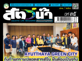 ปก นิตยสาร สัตว์น้ำ ฉบับ 431 (กรกฎาคม 2568)