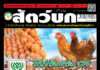 ปก นิตยสาร สัตว์บก ฉบับ 387 (กรกฎาคม 2568)
