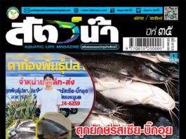 ปก นิตยสาร สัตว์น้ำ ฉบับ 432 (สิงหาคม 2568)